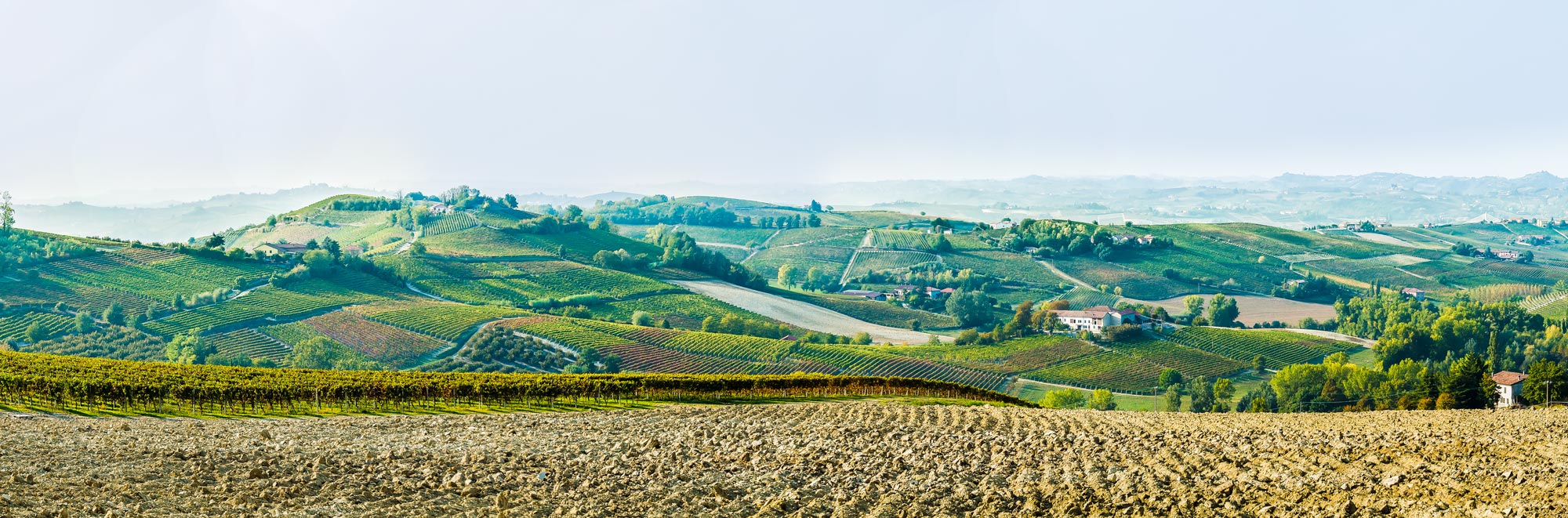 Colline del Monferrato piemontese, patrimonio UNESCO